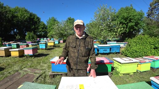 Пасека владимира рябухина