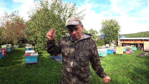 Пасека владимира рябухина