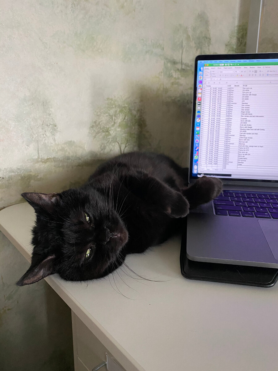 На картинке можно увидеть мою табличку учета времени 