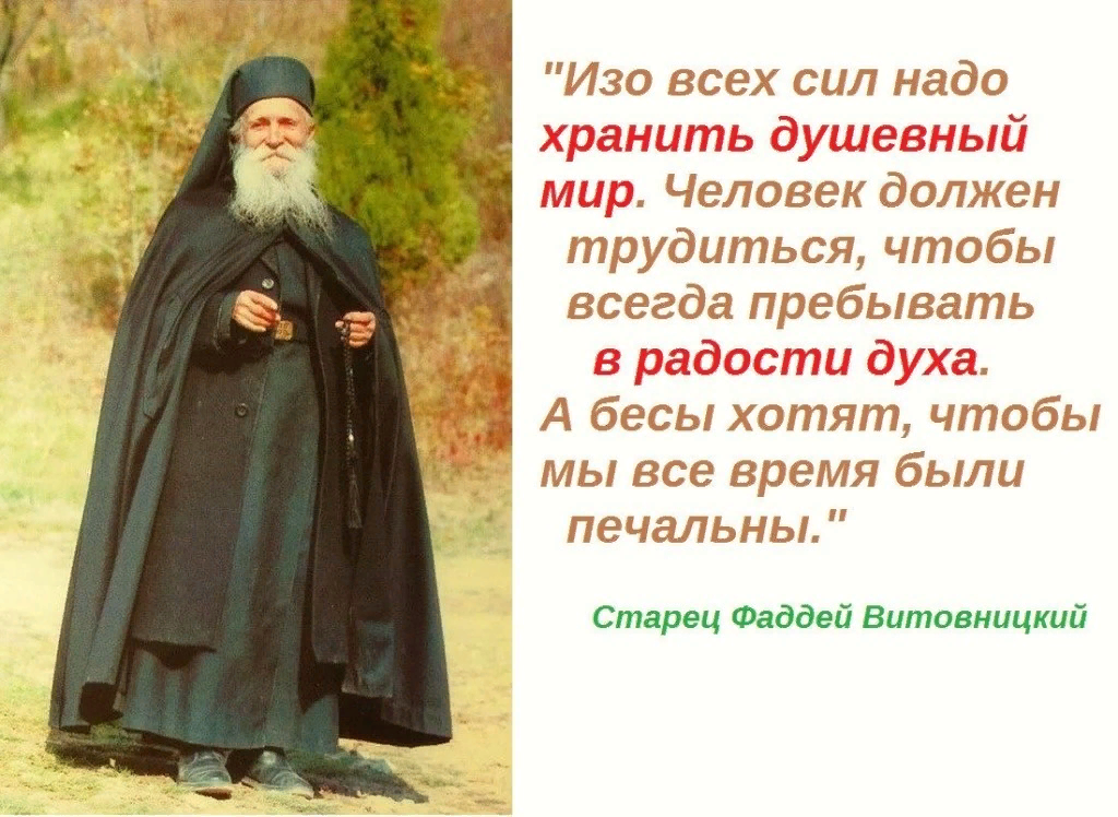 Под старчество в православии подразумевается. Архимандрит Фаддей Витовницкий духовные поучения. Старец Фаддей Витовницкий высказывания. Сербский старец архимандрит Фаддей Витовницкий. Фаддей Витовницкий изречения.