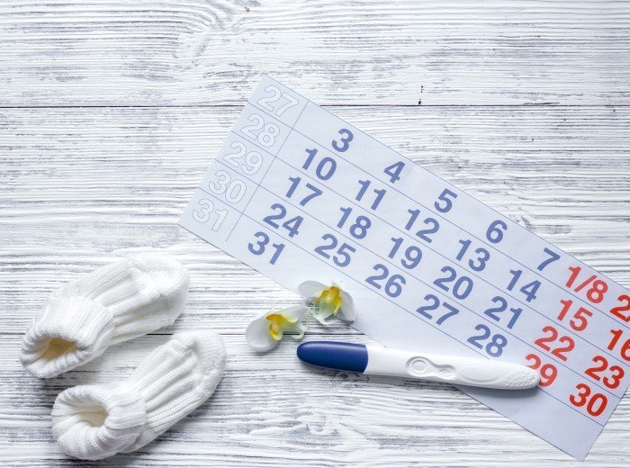 Календарь овуляции: как рассчитать?