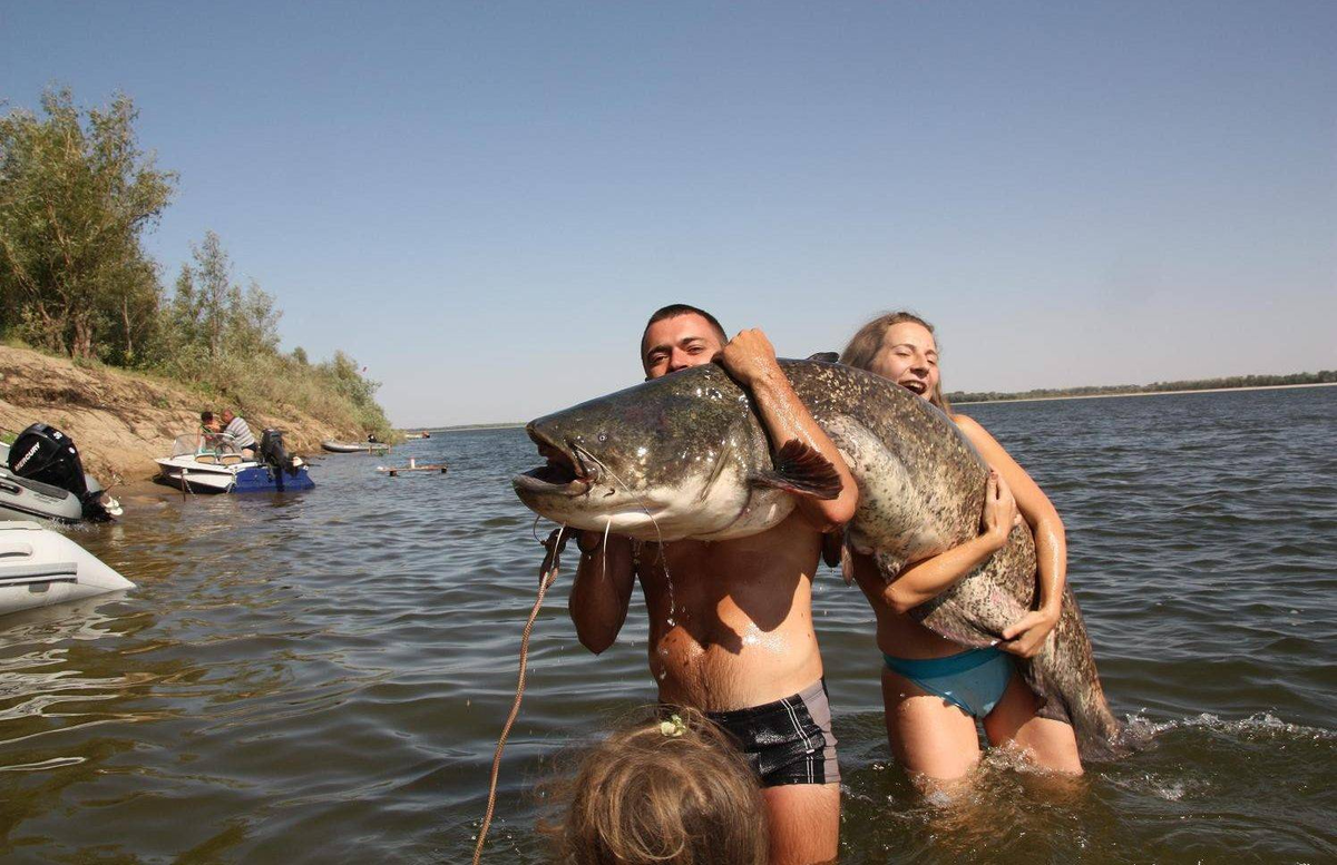 На озере есть рыба. Рыболовные места. Рыбное место. Улов на Волге. Рыбалка на Волге