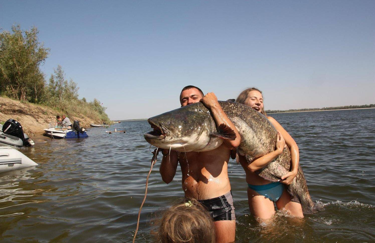 Рыболовные места. Рыбное место. Улов на Волге. Рыбацкие уловы на Волге. Псковское озеро рыба