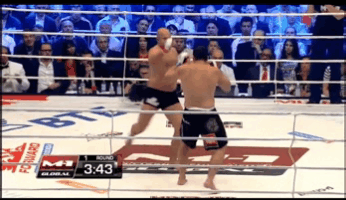 Под занавес карьеры Педро Риззо успел «отметится» поражением нокаутом от рук Фёдора Емельяненко