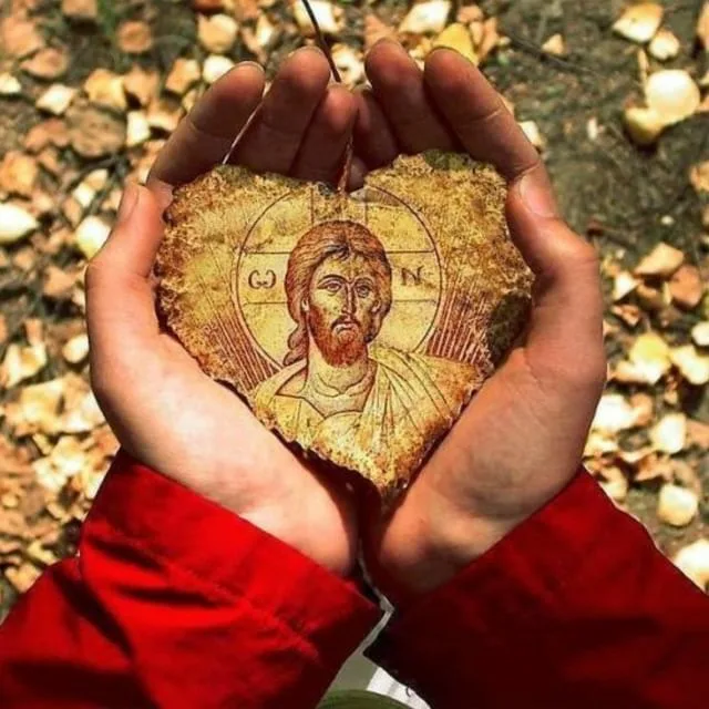 фото взято с яндекс.картинки