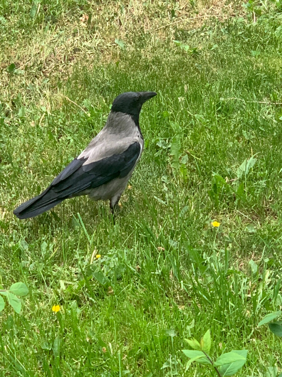 В итоге потеряла всех, кто доставал и мешал