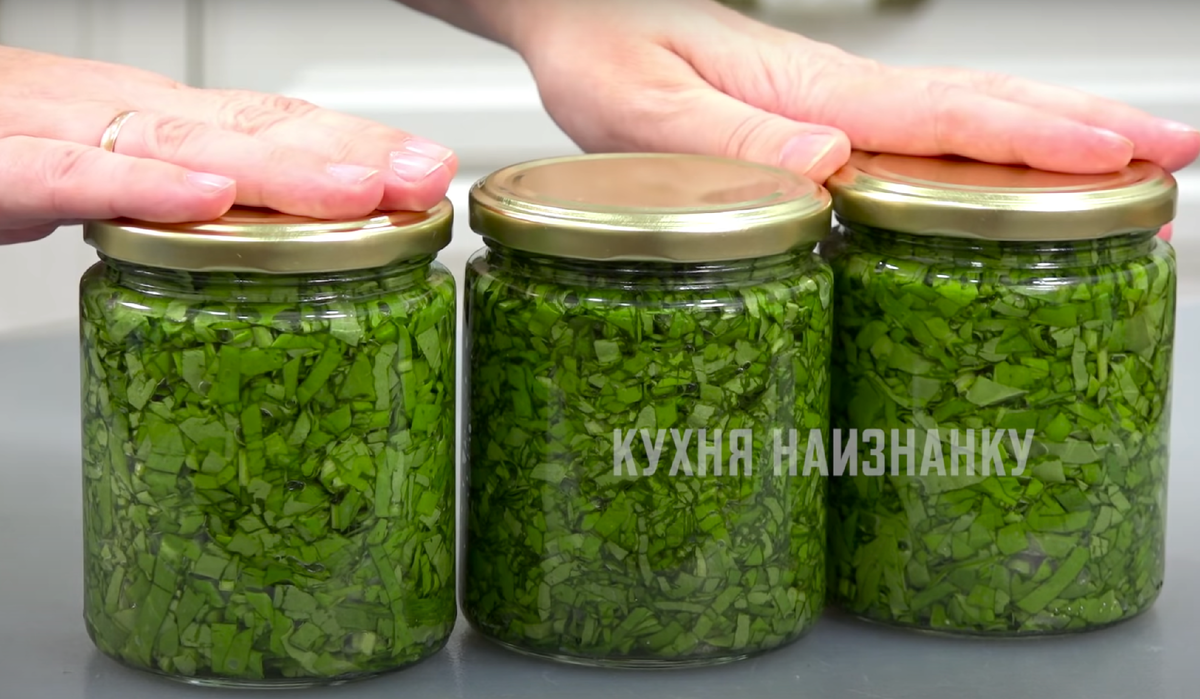 Кухня наизнанку щавель на зиму. Кухня наизнанку щавель на зиму