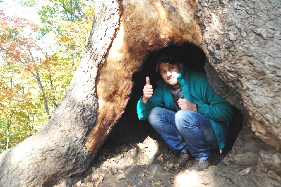 Дупло белки беличье дупло. Парни дупла. Дупло белки беличье дупло. Пень с дуплом. Большое дупло в дереве.