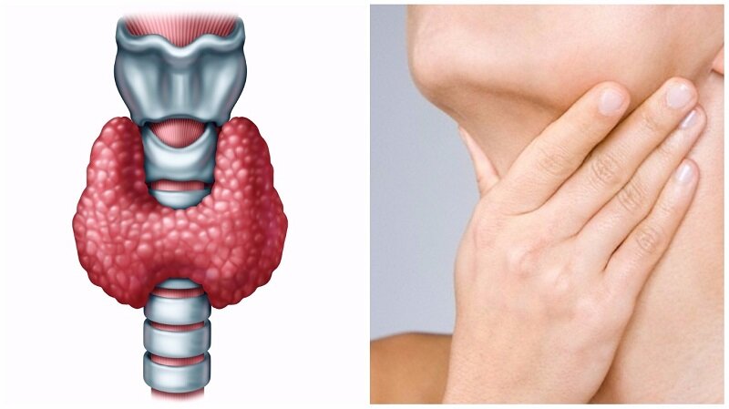 Источник: yandex.ru