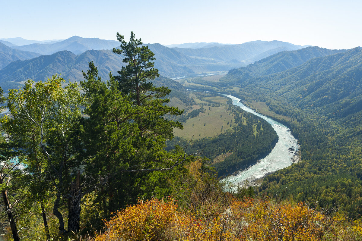 Кадр с точки, где стоял наш штатив, для примера. Горный Алтай и осенняя Катунь!