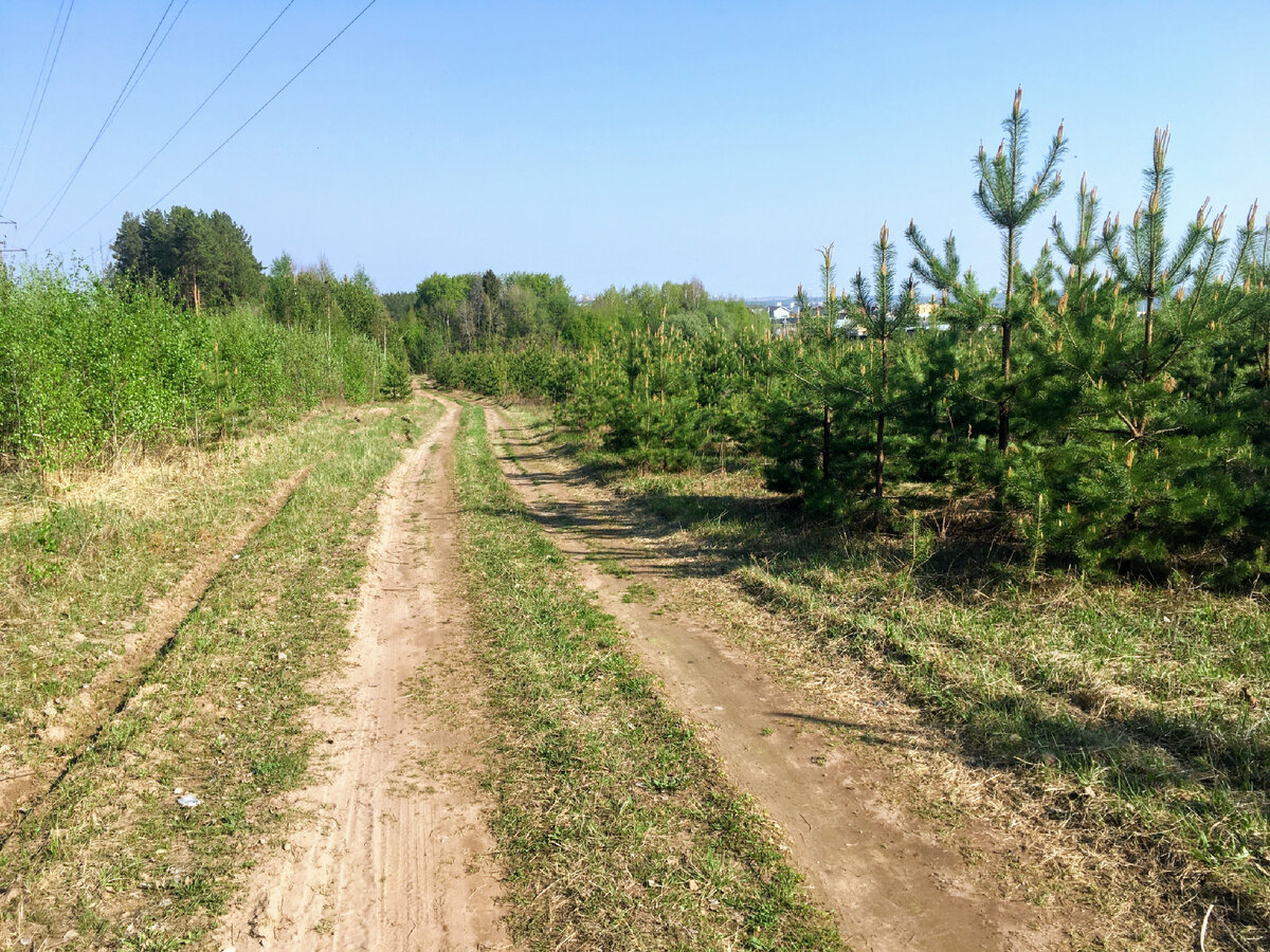 Утренняя пробежка