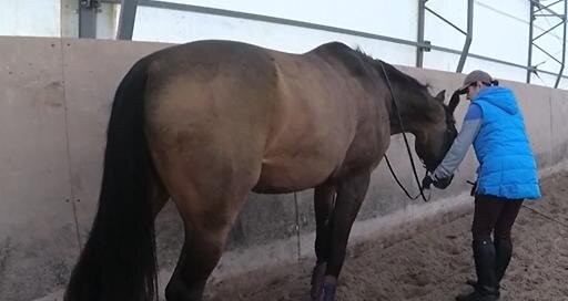 Фото Я и Тасик на тренировке, расслабляемся