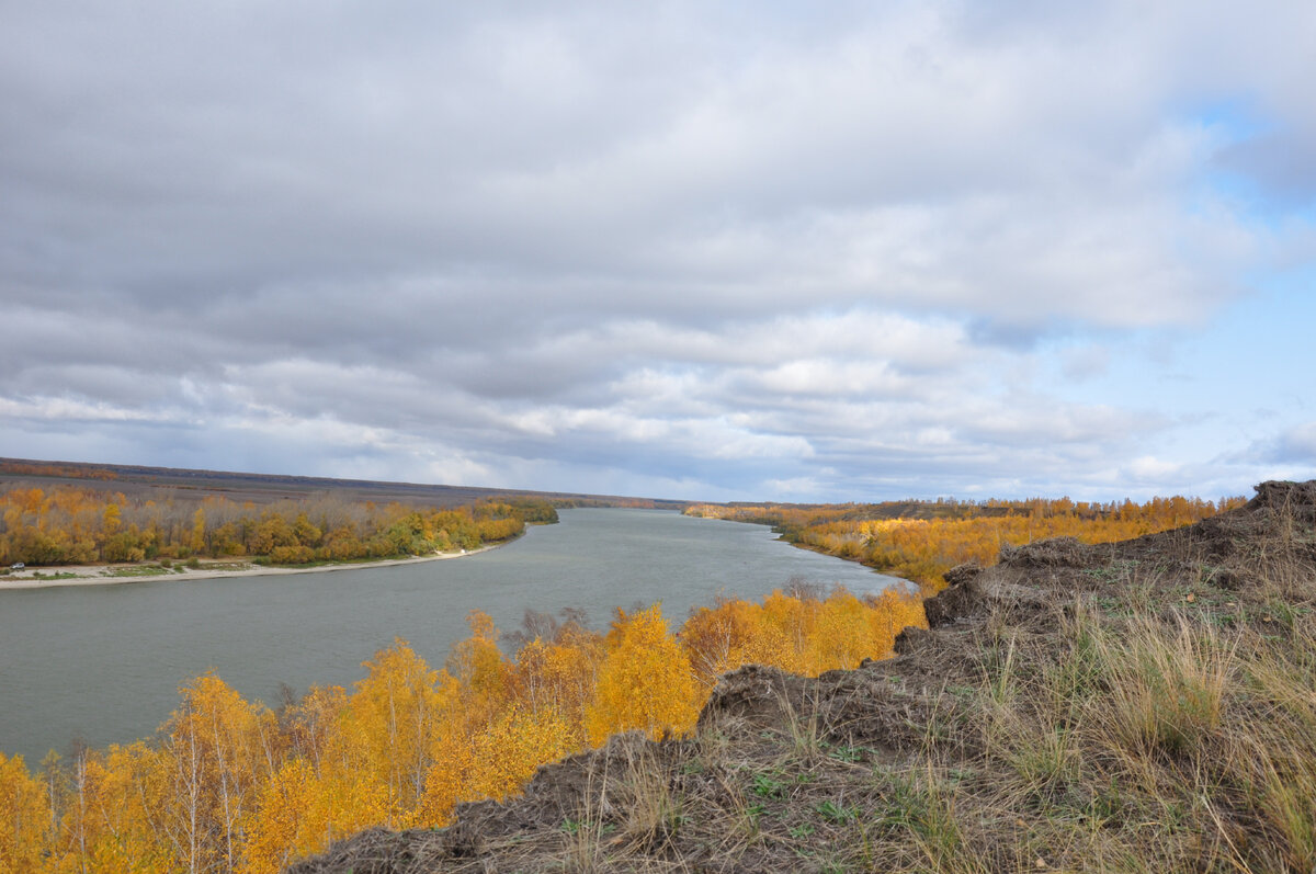 Пермогорье Архангельская область высокий берег