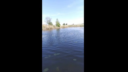 Оазис лесная ул 5б 1 село солянка. EFT Boat.