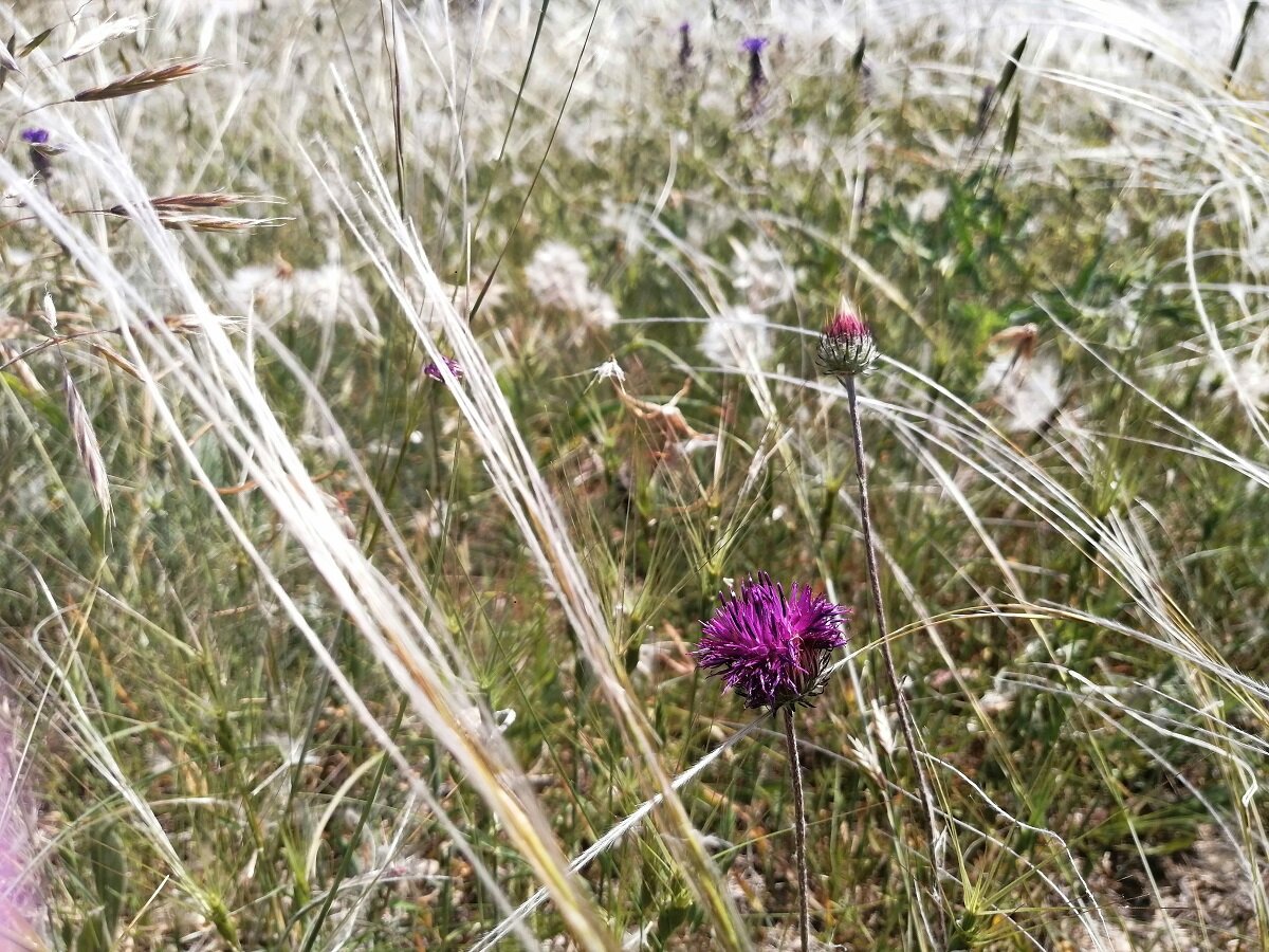 Вокруг люди, а мы одиноки