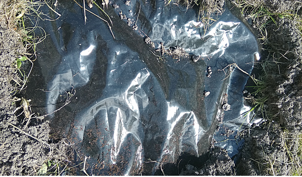 Подготовленное место для тыквы накрыто чёрной плёнкой. Фото автора