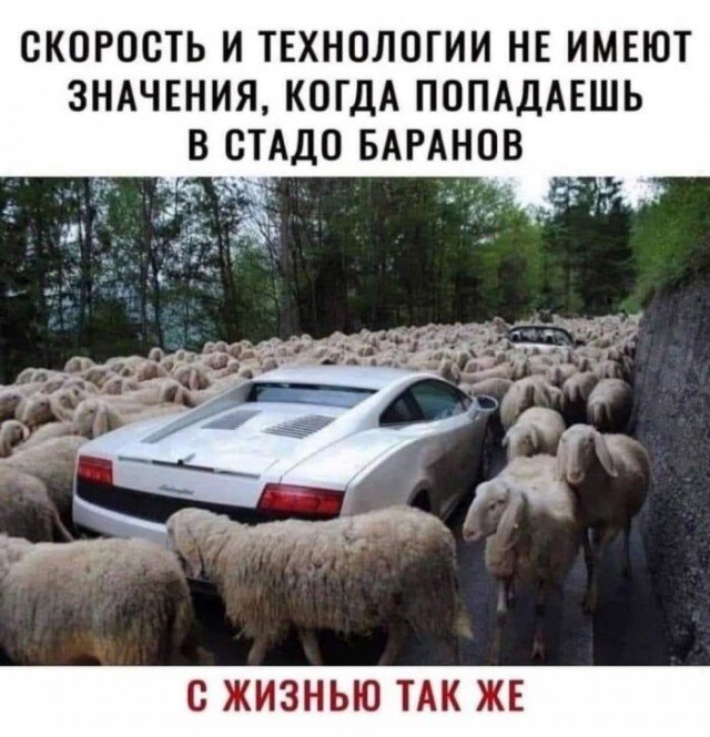 Полностью правы