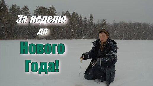 Ловля окуня. За неделю до Нового Года!