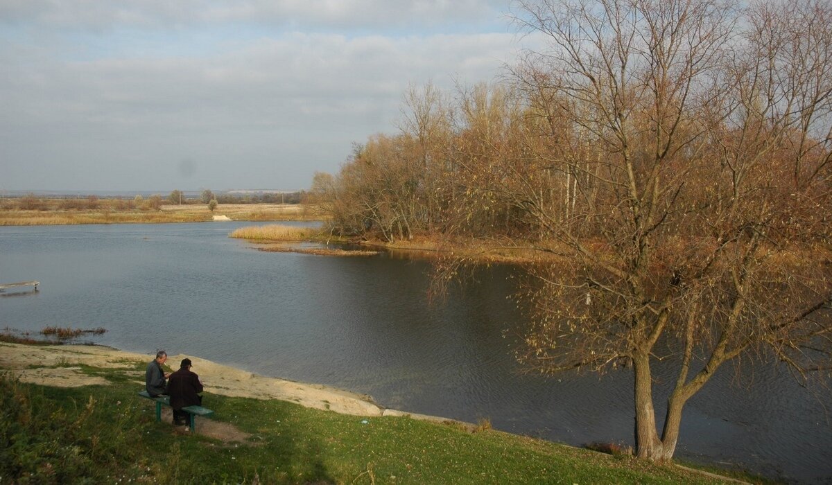 Река в курской области 5 букв. Река Сейм Курская область Рыльск. Капыстичи Курская область Сейм. Река Сейм Курск. Рыльск Сейм пляж.