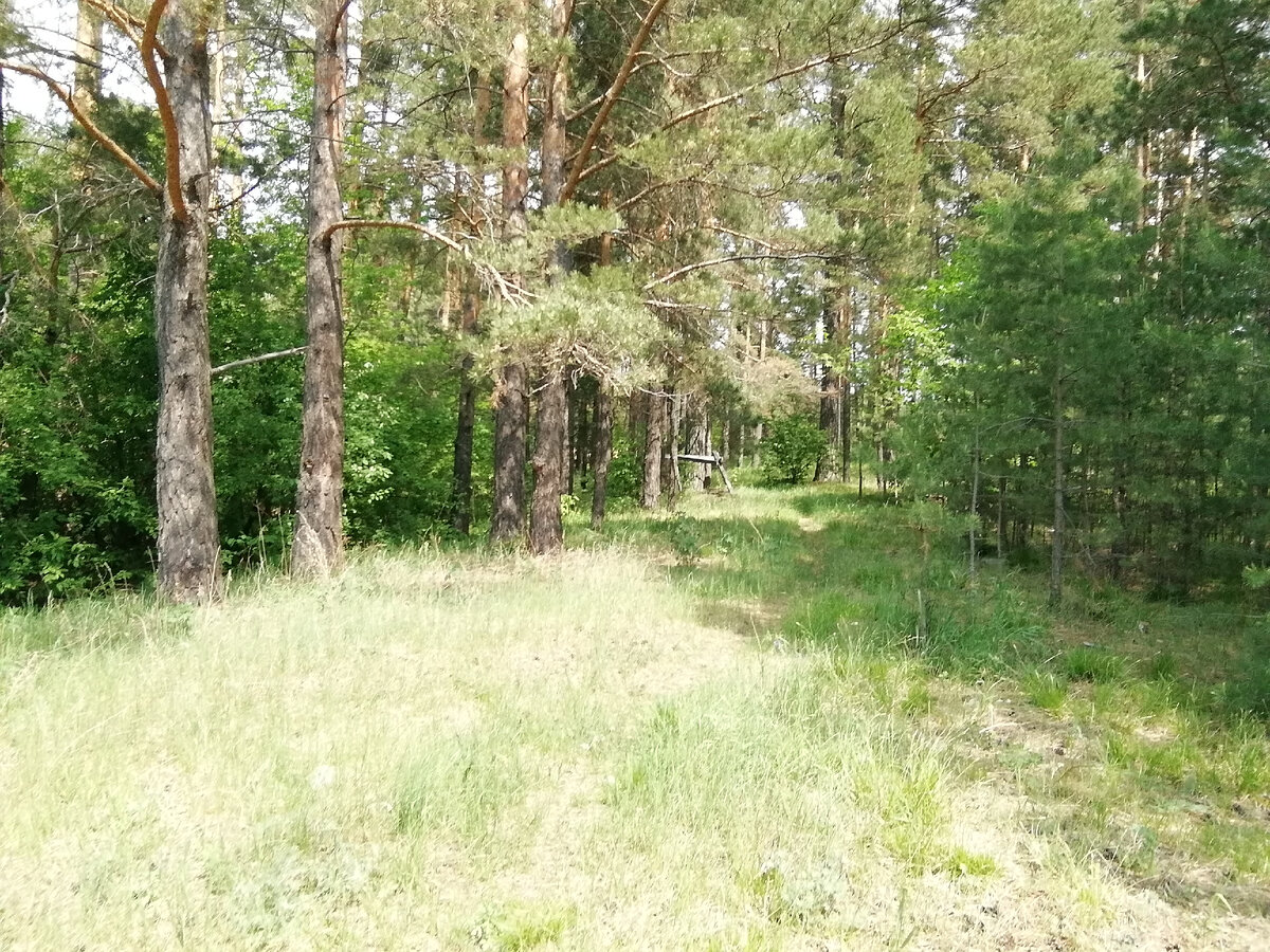 Добавьте описание