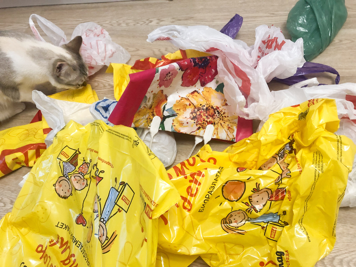 Хвостатая помощница всегда спешит на помощь