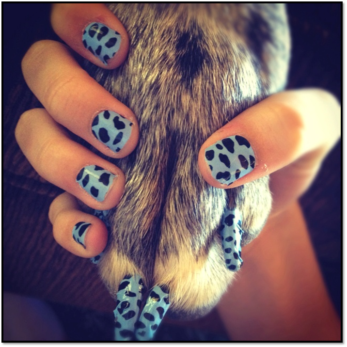 Лапа собаки на ногтях. Ногти с животными. Маникюр с лапками. Маникюр с собаками. Маникюр с рисунком животных.
