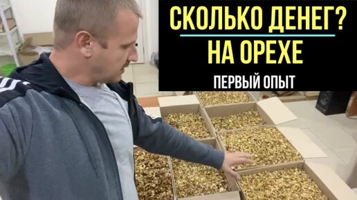 Подробный бизнес план по чистке грецкого ореха из моего опыта! Сколько я заработал?