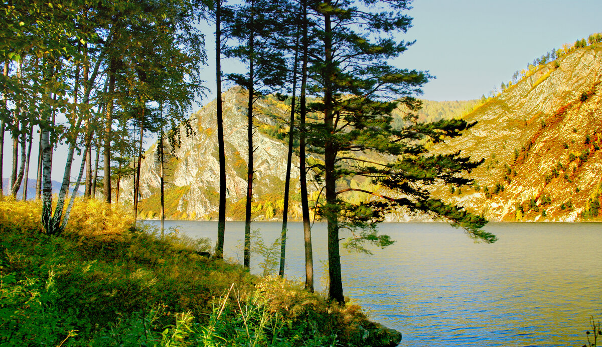 Фотография, стихотворение Василия Глуцкого