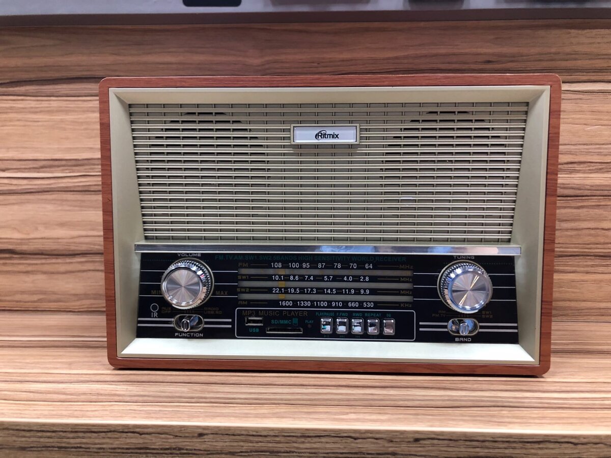 RITMIX RPR-101
