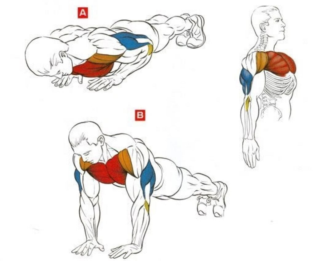 Отжимания рисунок (49 фото)