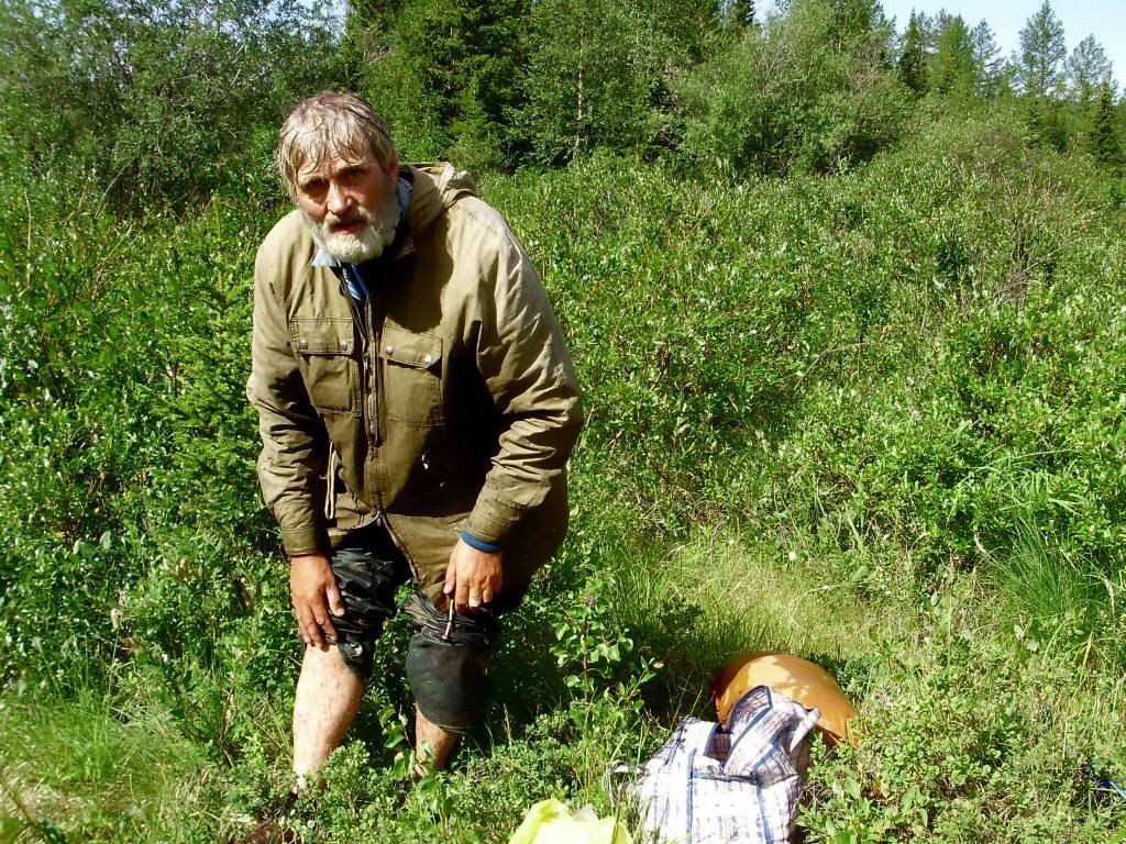 Как избавиться от комаров в лесу и на даче без химии? - Егерь поделился  своими проверенными способами! | Блог строителя | Дзен