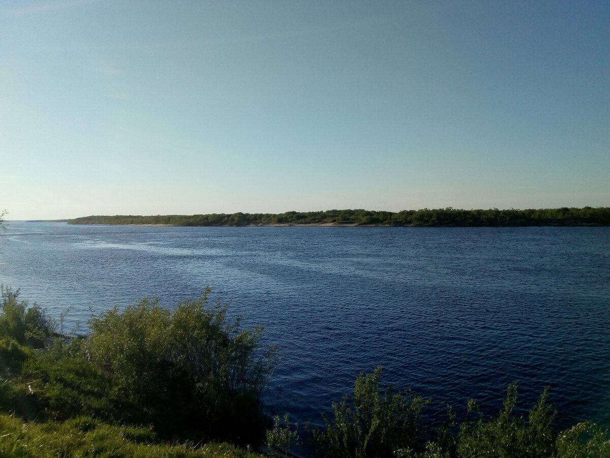 Река Курополка рукав Северной Двины