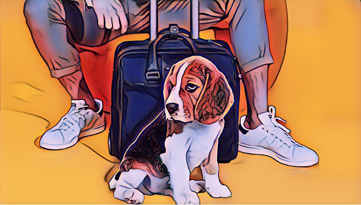 Картинка для обложки | Фото: здесь и далее исходные изображения взяты из открытых источников сети Интернет, обработка автора