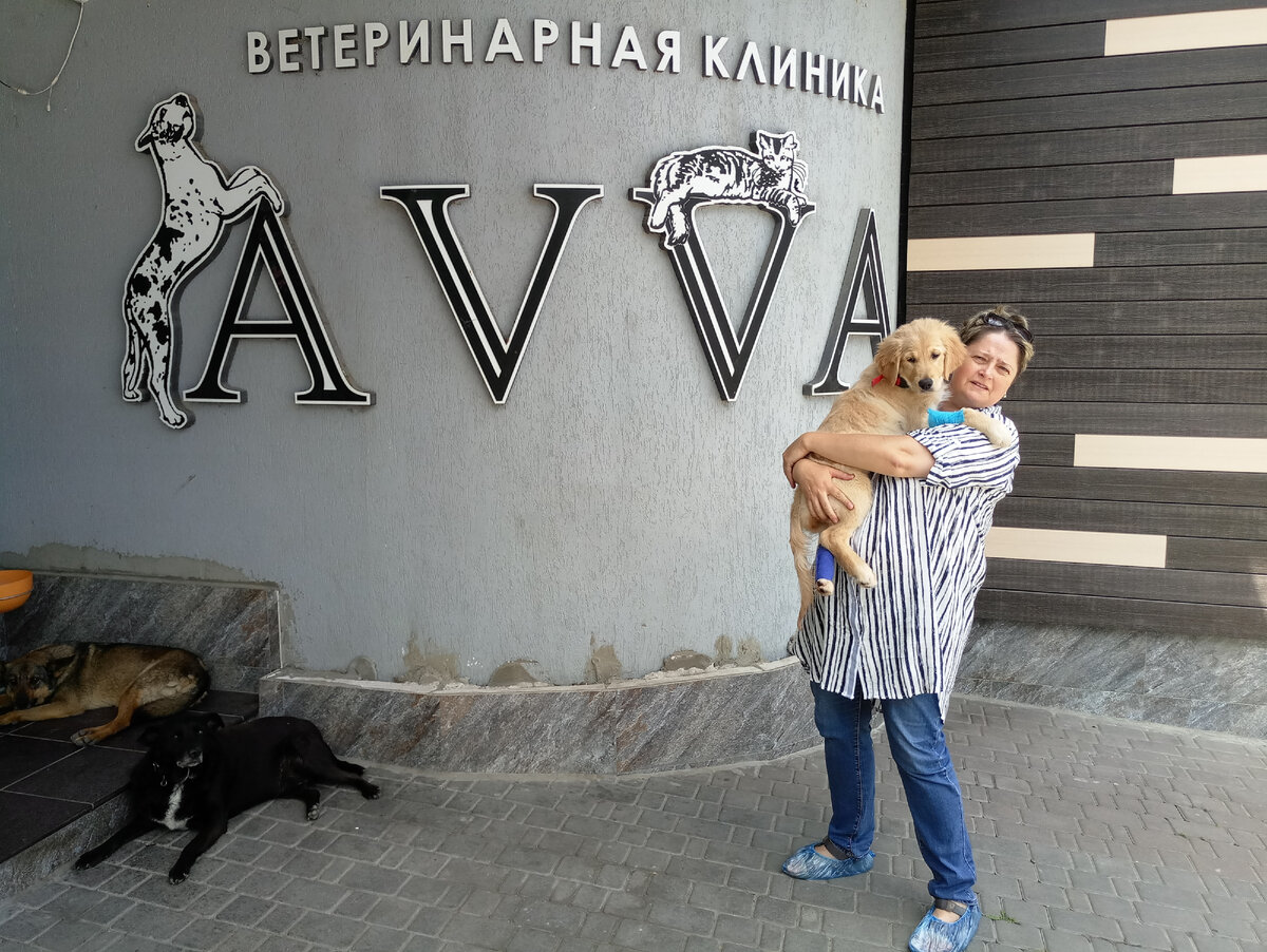 2019 год, мы с Лялькой приезжаем в Авву, где нас всегда встречал этот черный пёс