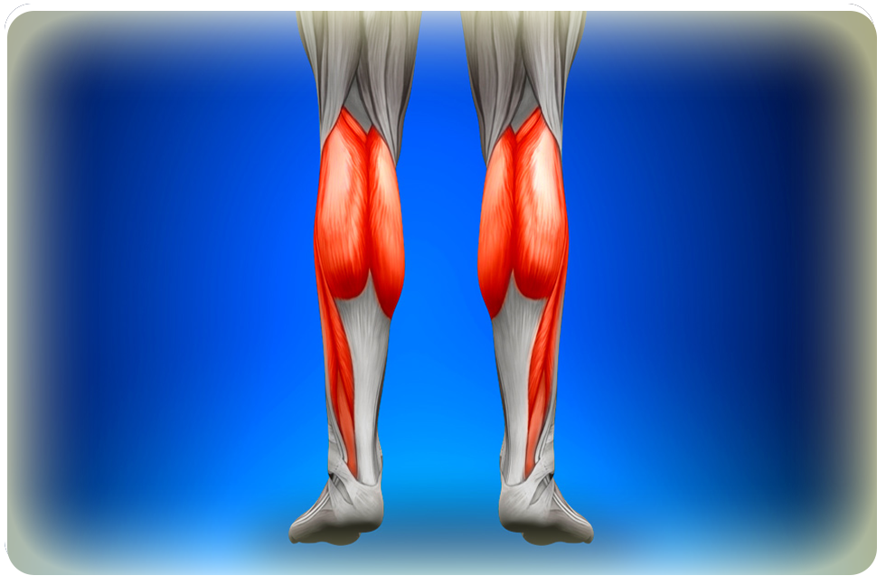Боли в ногах: выявление причин и назначения. К какому врачу обращаться