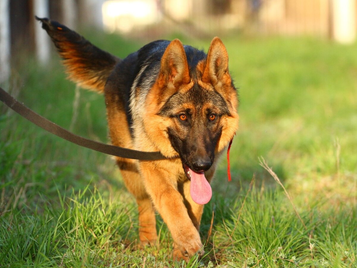 Источник: https://clck.ru/VVzQC