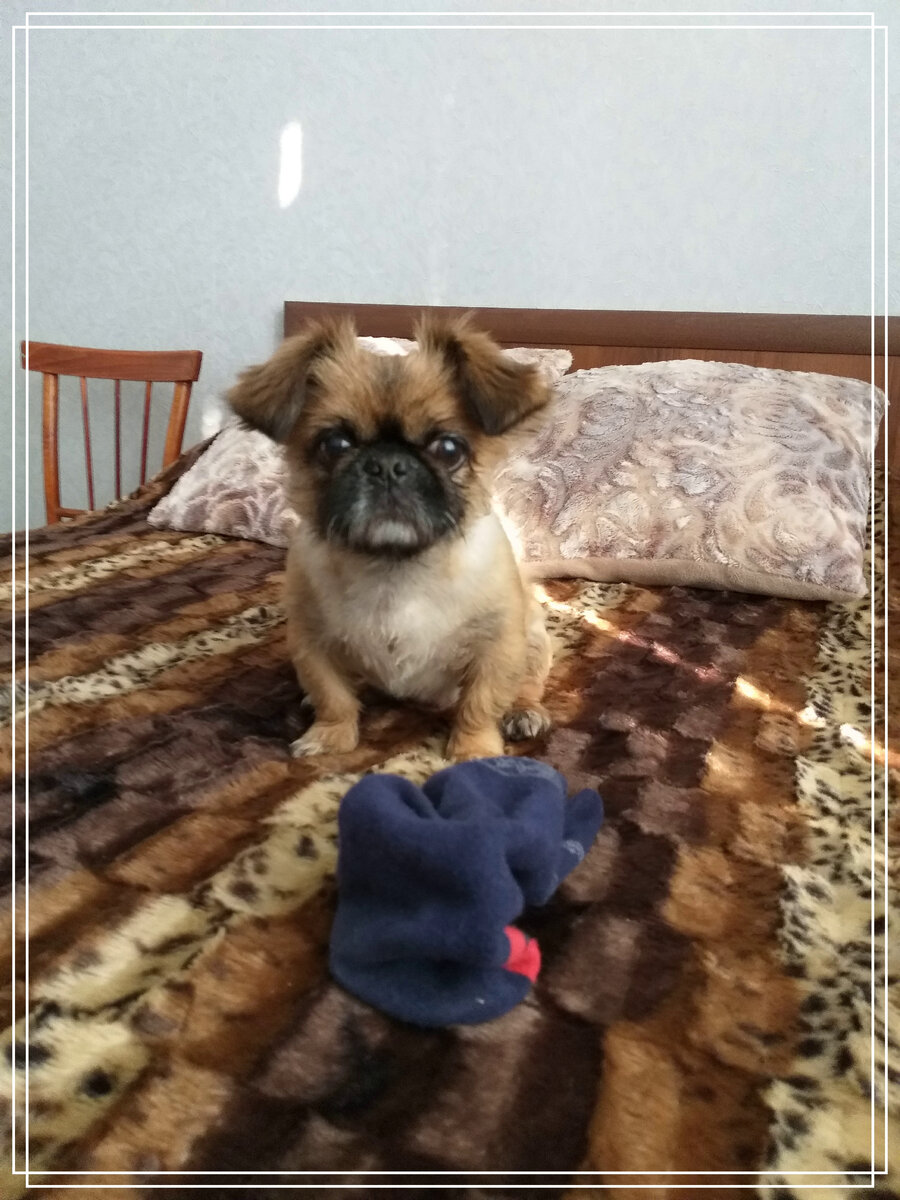 Любимые носки, с которыми можно делать все, что угодно.