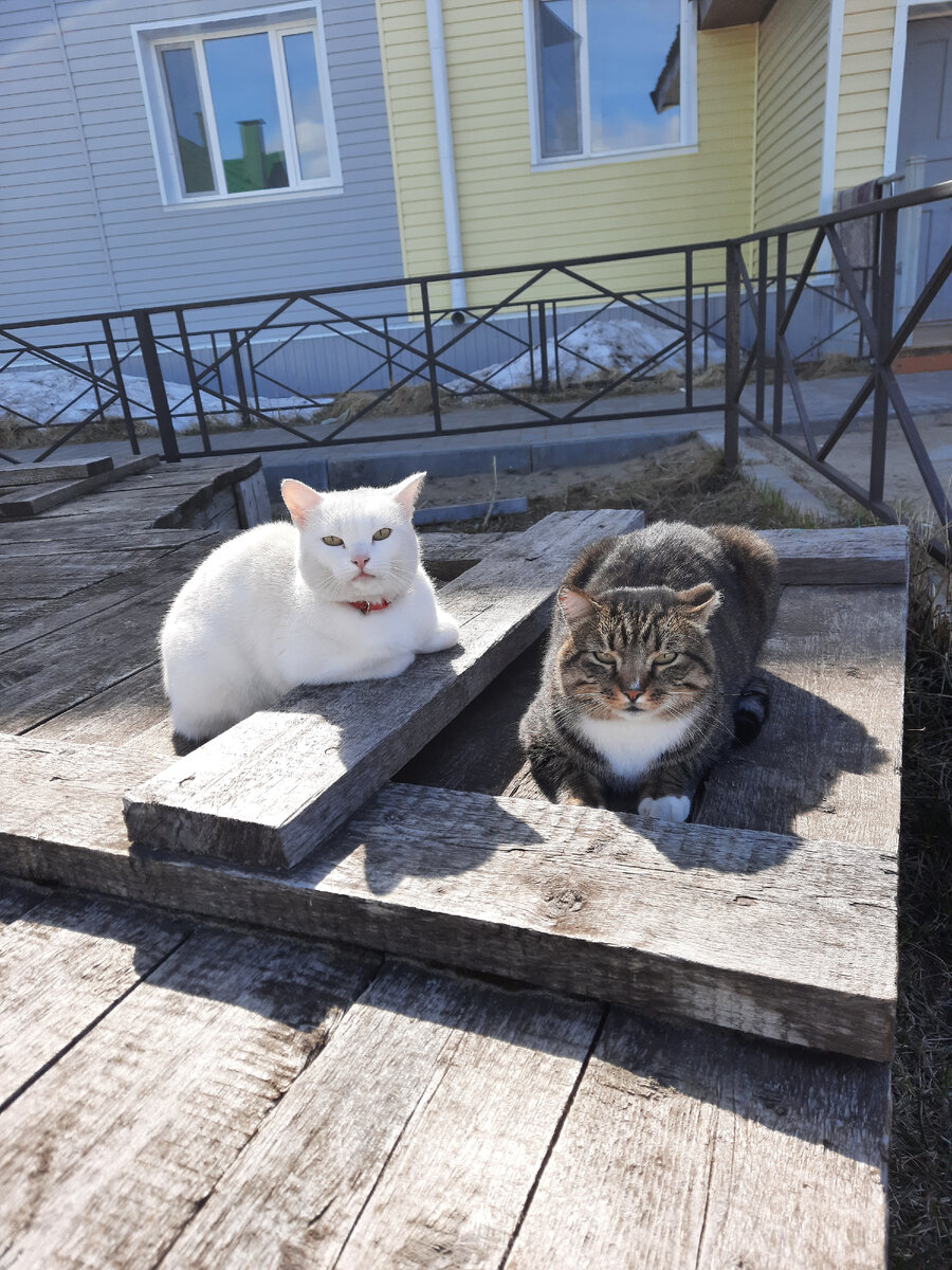 Фото из личного архива