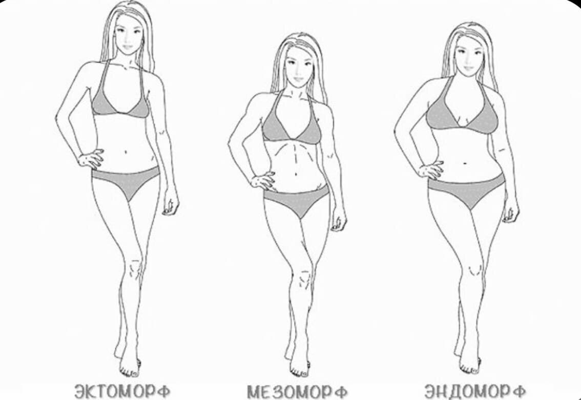 Типы фигур эктоморф эндоморф мезоморф. Мезоморф эктоморф эндоморф девушки. Типы телосложения у женщин. Типы фигур у девушек. Размеры идеальной фигуры