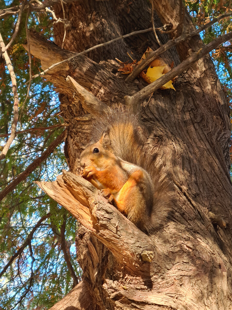 Фото автора 