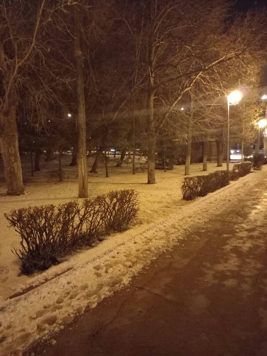 Фото автора.