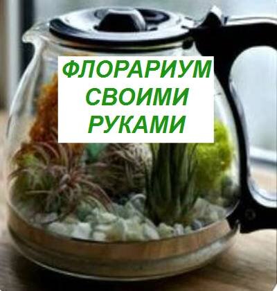 как сделать флорариум своими руками