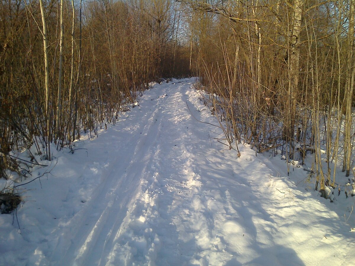 Дорога зимой