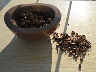 Семенная коробочка легко разламывается в руках