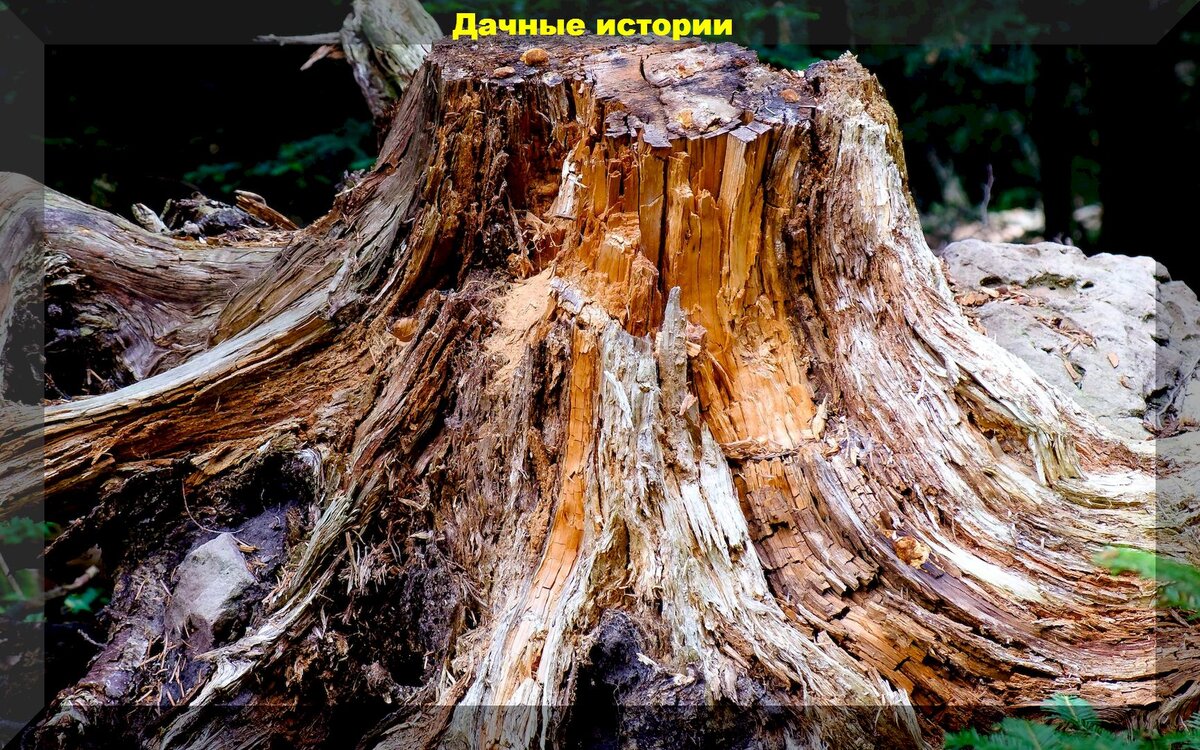 https://vk.com/photo-159774511_457251682