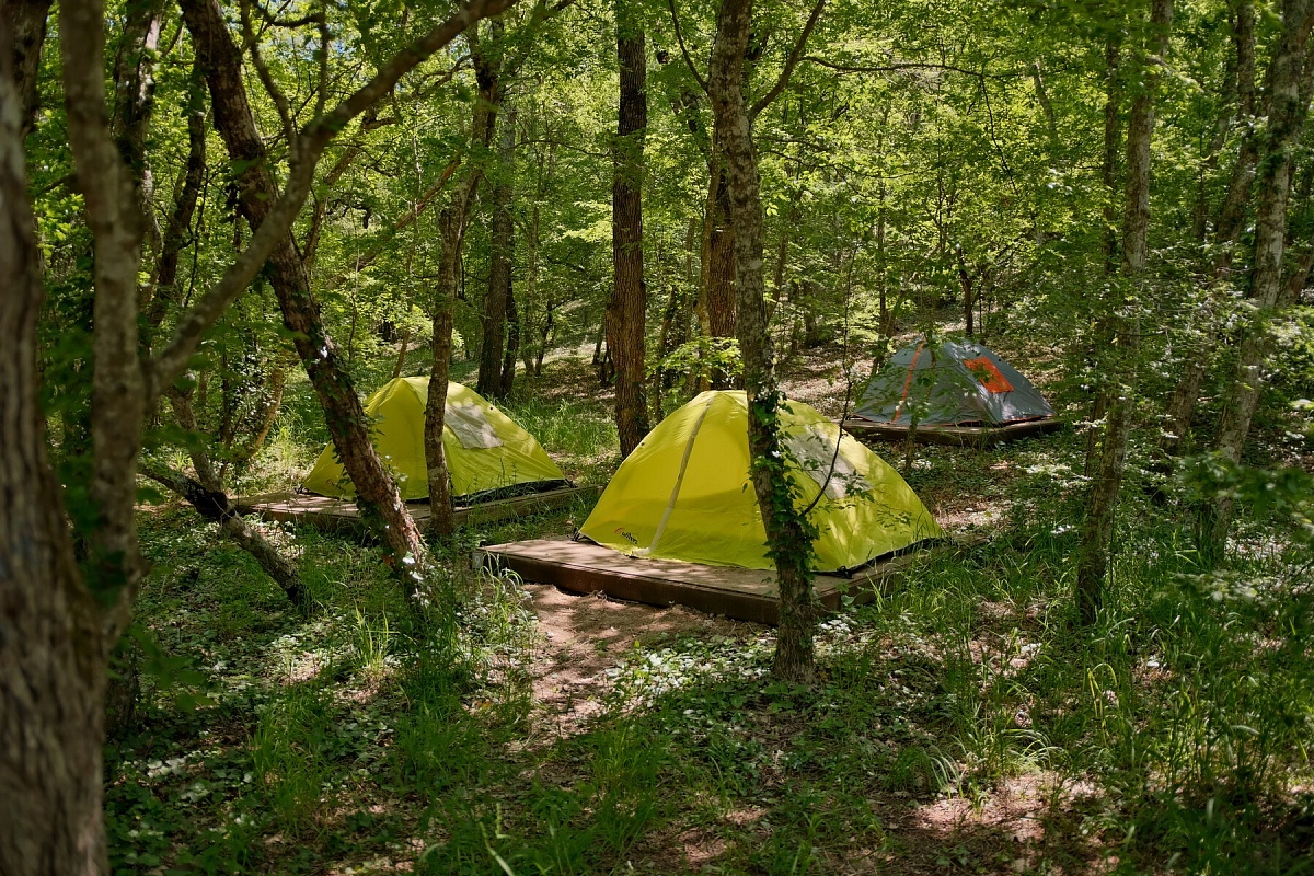 Туристический лагерь "Абрау-Дюрсо" фото автор:  Компас