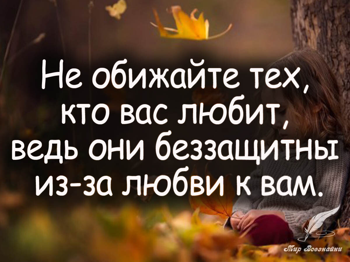 Из открытых источников Yandex