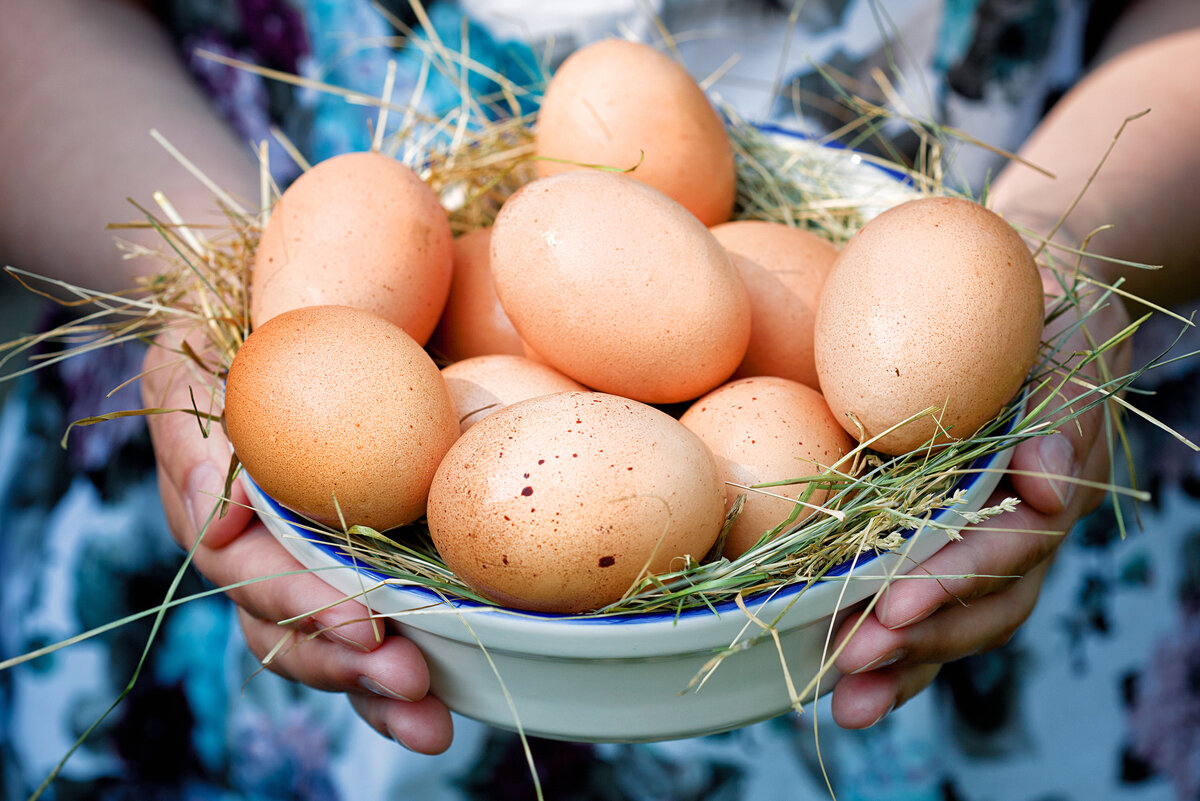Топ-10 мифов о куриных яйцах