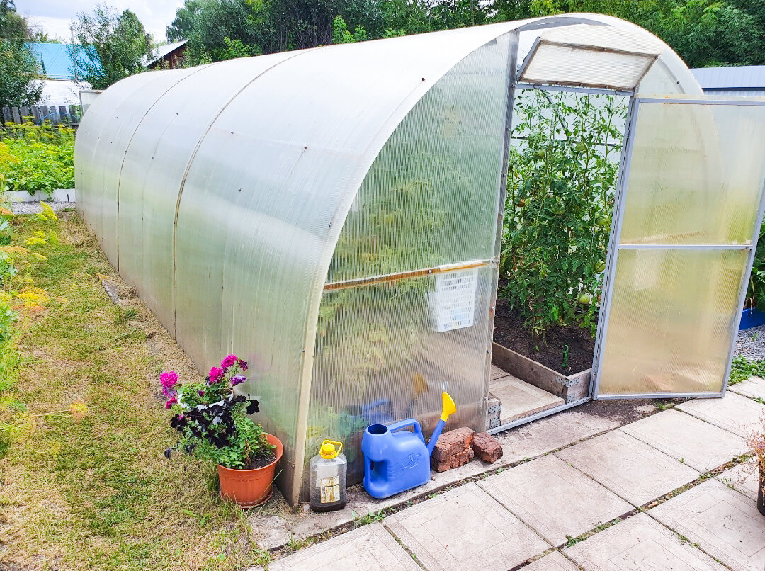 Это первая теплица, вышла более 10 лет назад даже дороже, чем вторая, купленная 5 лет назад...