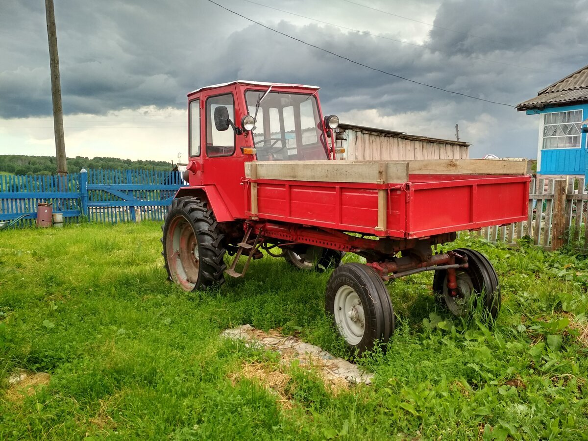 Трактора бу т16. Трактор т-16м. Т-16 (трактор). Трактор Владимирец т-16. Трактор попрошайка т-16.